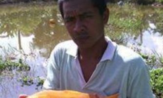 Thailand: Authorities must Protect Human Rights Defenders in the Line of Fire