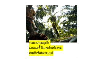 จรรยาบรรณธุรกิจ แอมเนสตี้ อินเตอร์เนชั่นแนล สำหรับซัพพลายเออร์